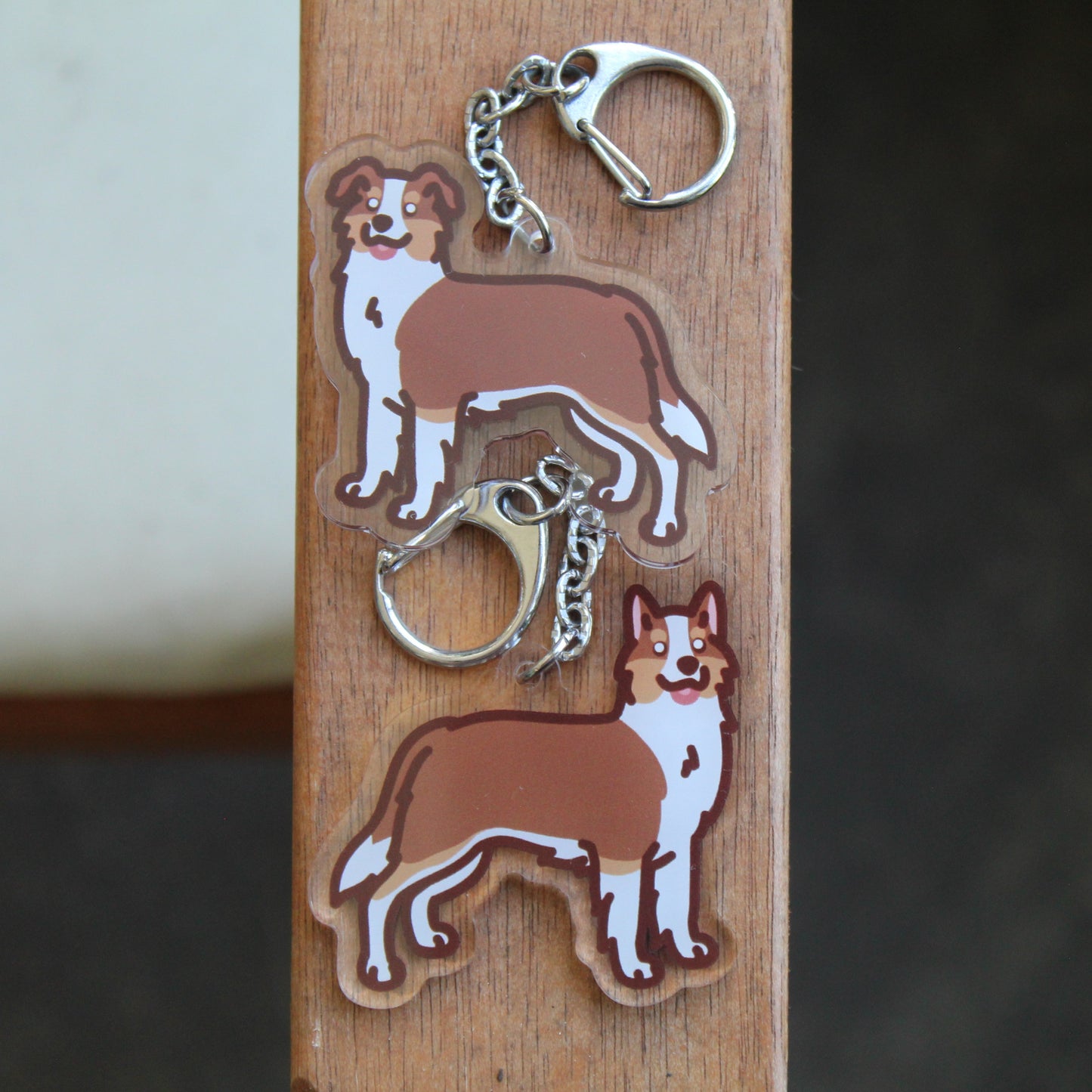 Border Collie Dog Sticker - 3" Waterproof Sticker or 2" Keychain Herding