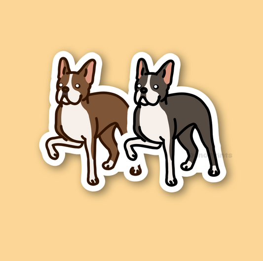 Boston Terrier - 3" Dog Sticker