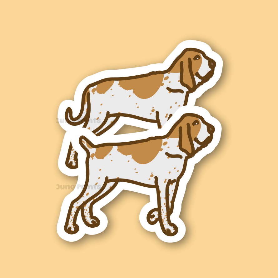 Bracco Italiano Sticker - 3" Bracchi Italiani Scent Hound Dog Sticker