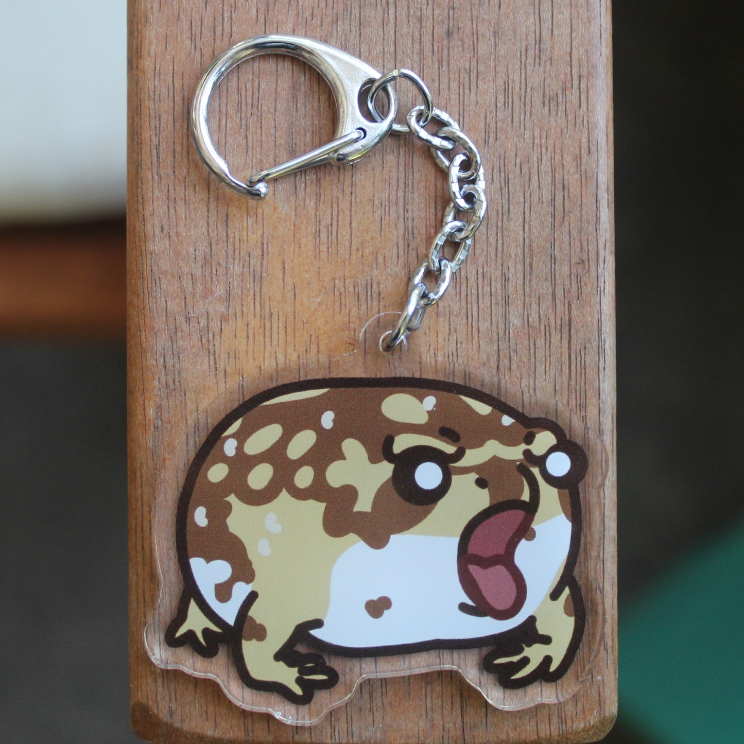 Bushveld's Rain Frog - 3" Happy Frog Angry Frog sticker - 2" Keychain