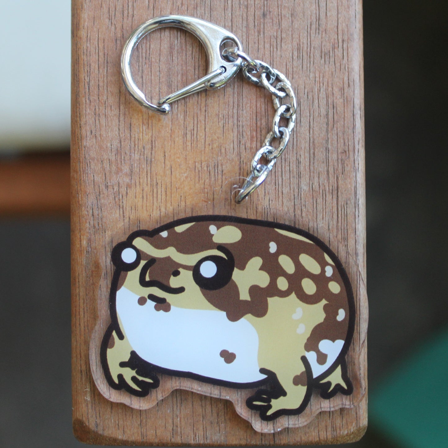 Bushveld's Rain Frog - 3" Happy Frog Angry Frog sticker - 2" Keychain
