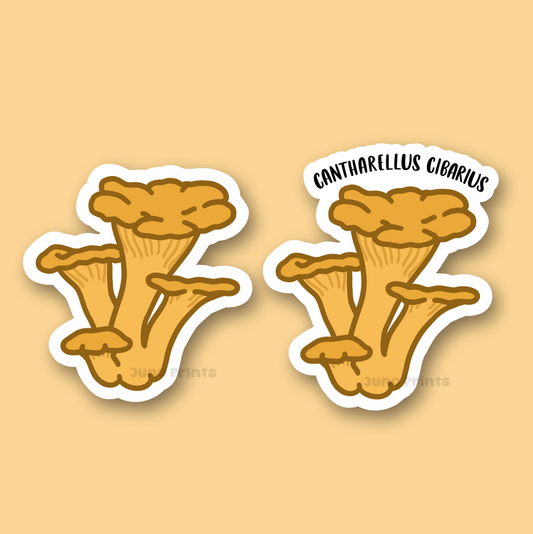 Chanterelle Mushroom Sticker - 3" Waterproof Mushroom Sticker - Cantharellus cibarius