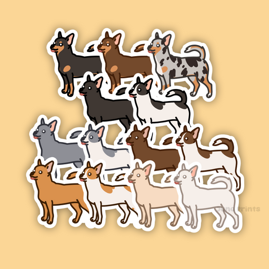 Shorthair Chihuahua - 3" Dog Sticker or 2" Keychain Toy