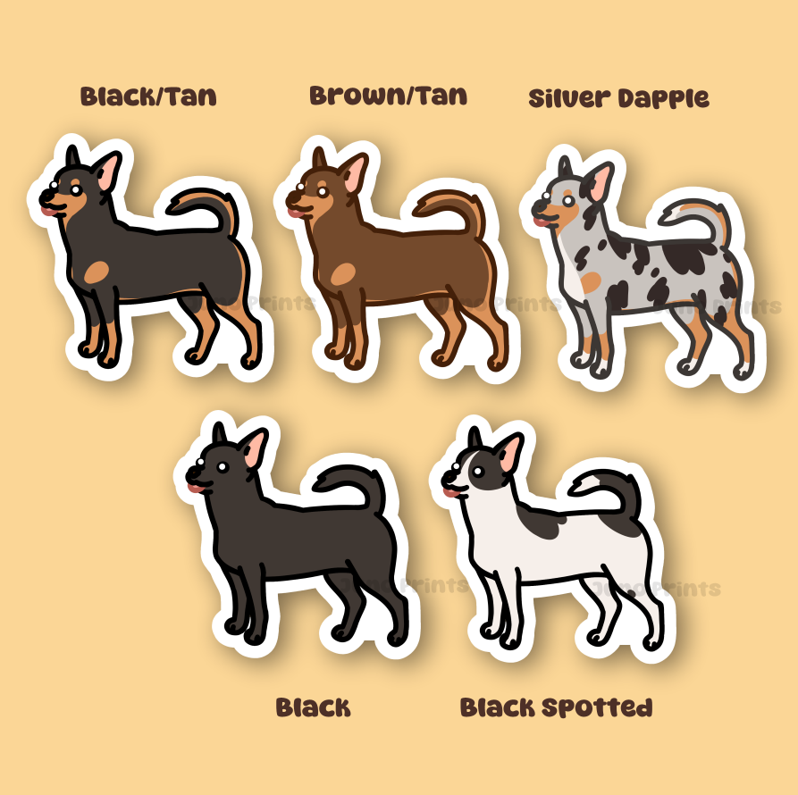Shorthair Chihuahua - 3" Dog Sticker or 2" Keychain Toy