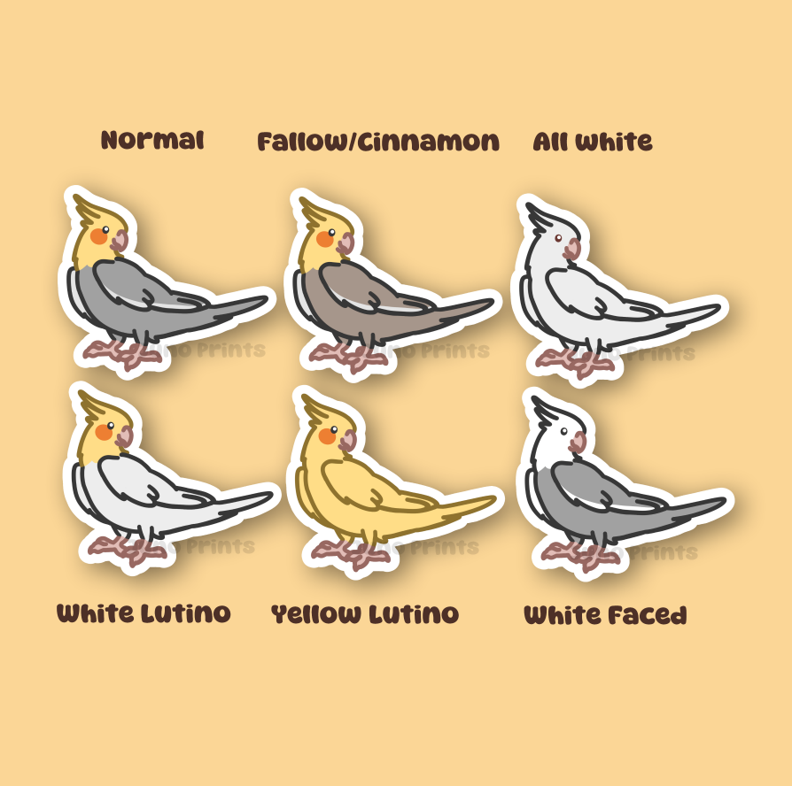 Cockatiel Sticker - 3" Waterproof Cockatiel Sticker or 2" Keychain