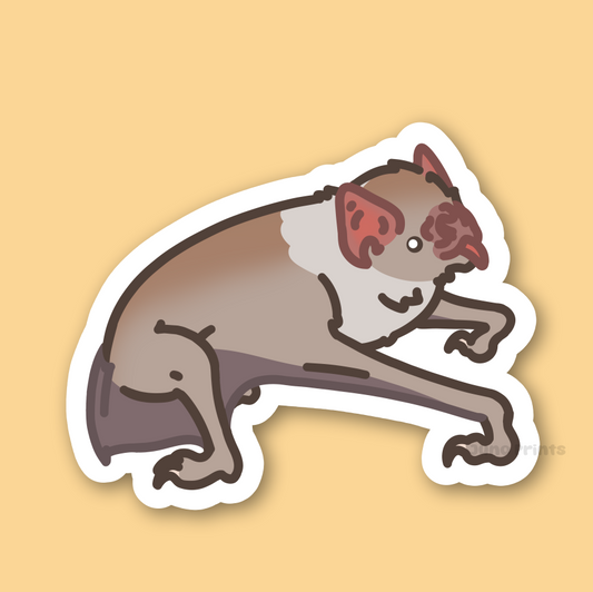 Common Vampire Bat - 3" Sticker