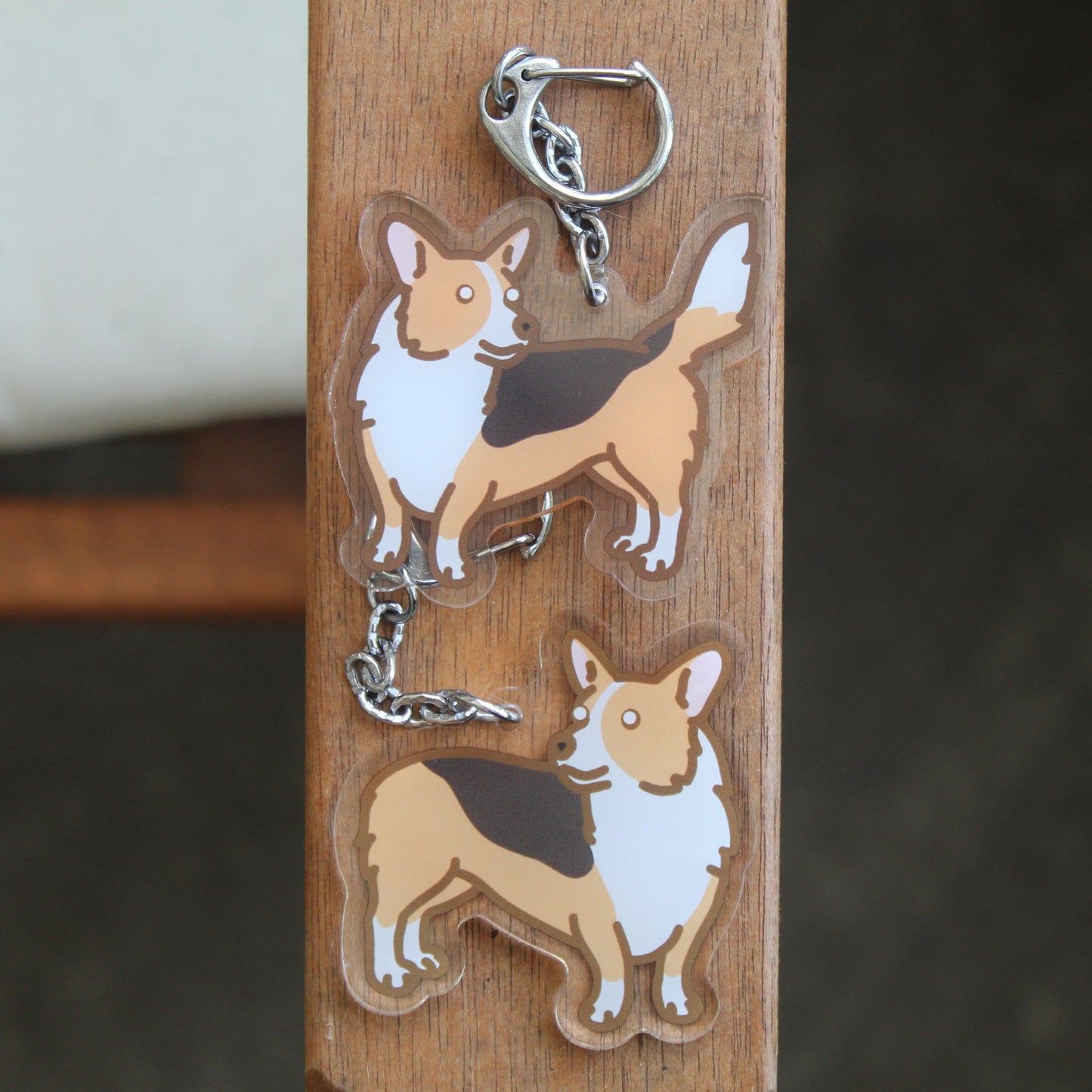Cardigan and Pembroke Welsh Corgi Dog Sticker - 3" Waterproof Sticker or 2" Keychain Herding