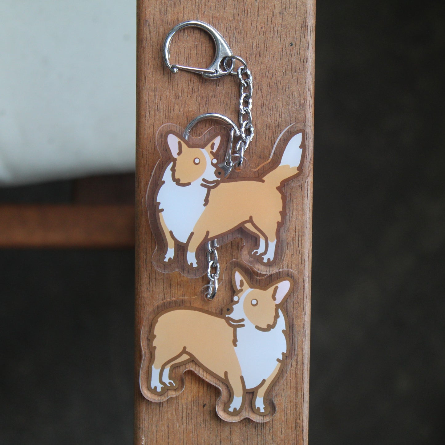 Cardigan and Pembroke Welsh Corgi Dog Sticker - 3" Waterproof Sticker or 2" Keychain Herding