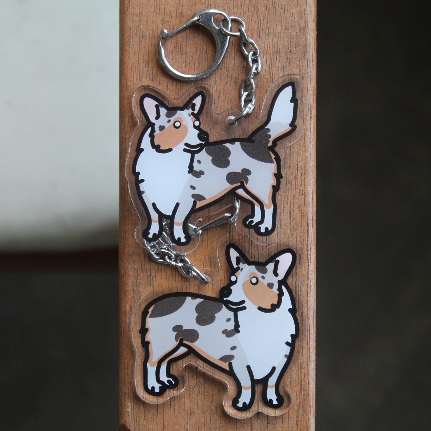 Cardigan and Pembroke Welsh Corgi Dog Sticker - 3" Waterproof Sticker or 2" Keychain Herding