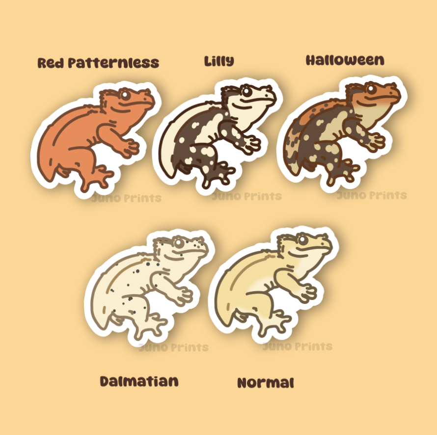 Crested Geckos - 3" Frog Butt/Stumpy and Full Tail Gecko Sticker or 2" Keycahin