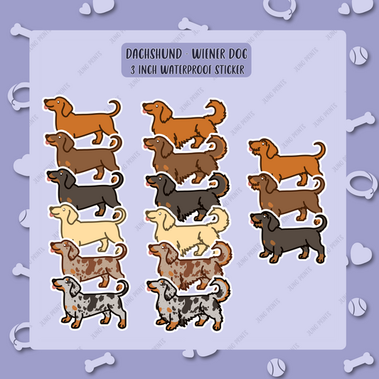 Dachshund - Wiener Dog Sticker - 3" Waterproof UV Resistant Cute Weenie Dog Sticker - Short Doxie Longhair Sausage Dog Wirehair