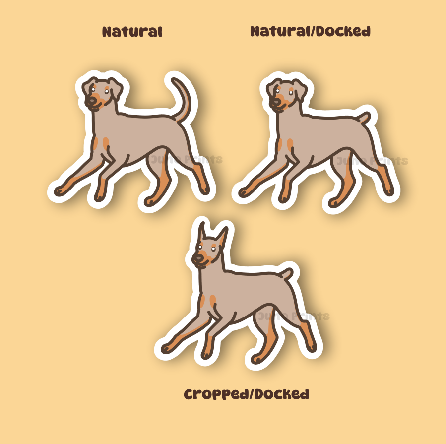 Doberman Pinscher - 3" Dobermann, German Pinscher Sticker or 2" Keychain or 3" Keychain Working
