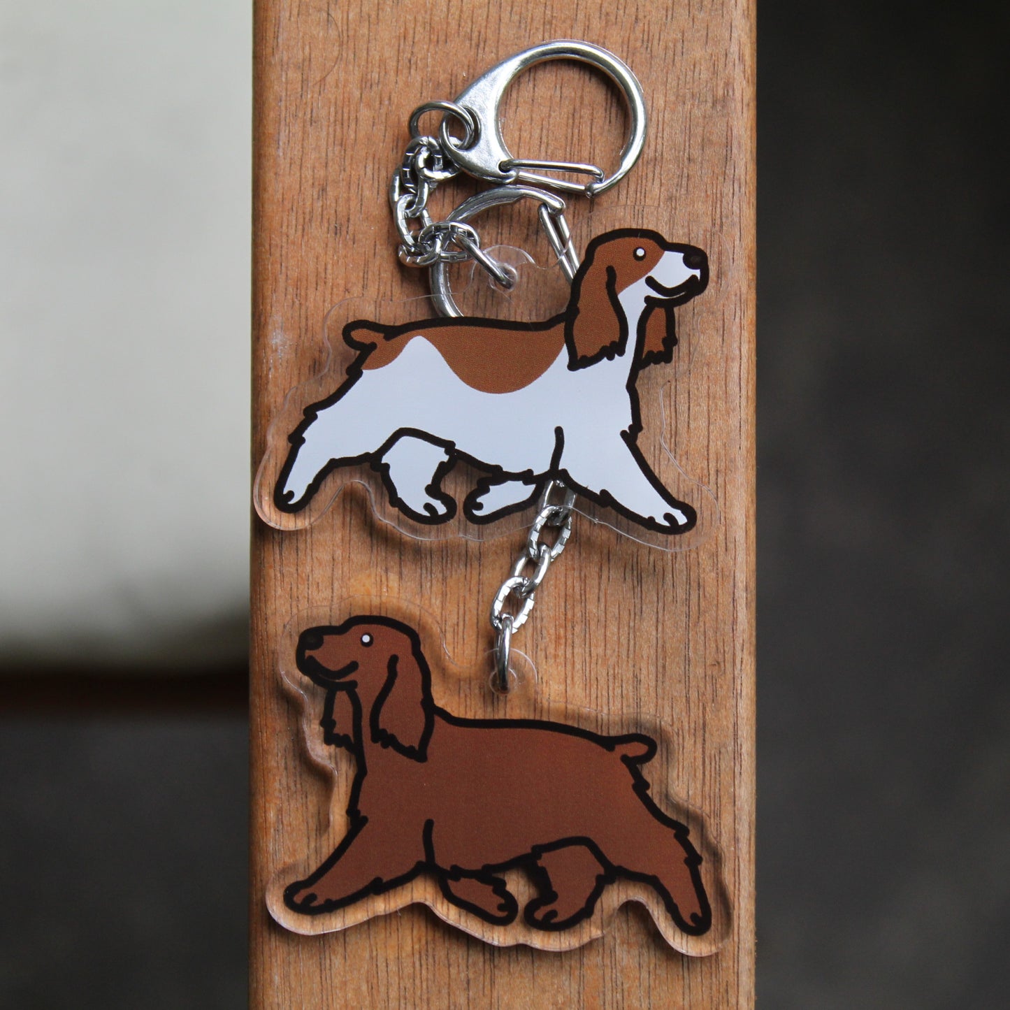 English Cocker, Springer Spaniel - 3" Waterproof, UV-Resistant Sticker or 2" Acrylic Keychain - Field Work Working Show Dog Sporting