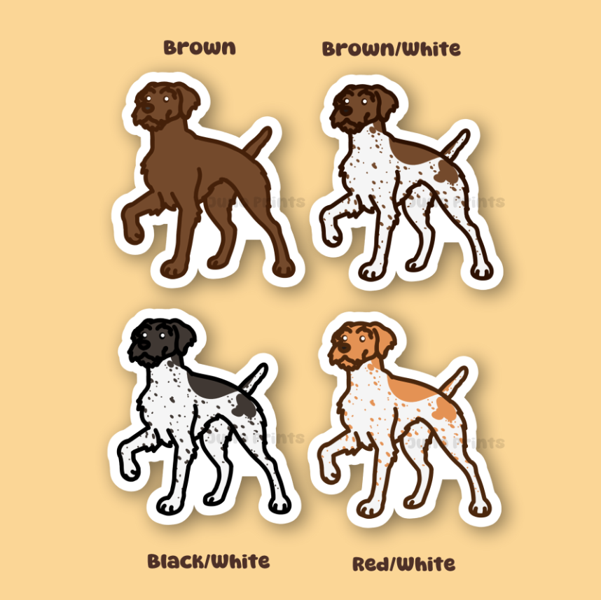 German Wirehair Pointer Pudelpointer Pointing Griffon - 3" Pointer Dog Sticker or 2" Keychain Sporting