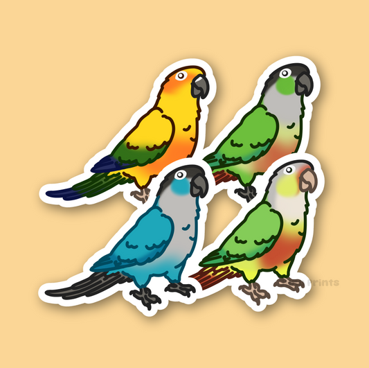 Conure Sticker - 3" Sun Conure, Green Cheek Variants Sticker or 2" Keychain