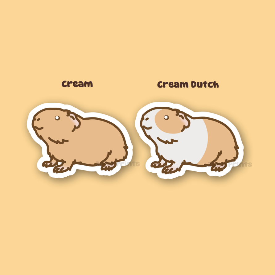 Guinea Pig Sticker - 3" Rodent Sticker - American or Hairless/Skinny Pig/BaldwinS