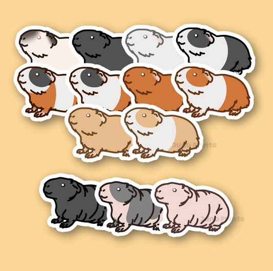 Guinea Pig Sticker - 3" Rodent Sticker - American or Hairless/Skinny Pig/BaldwinS