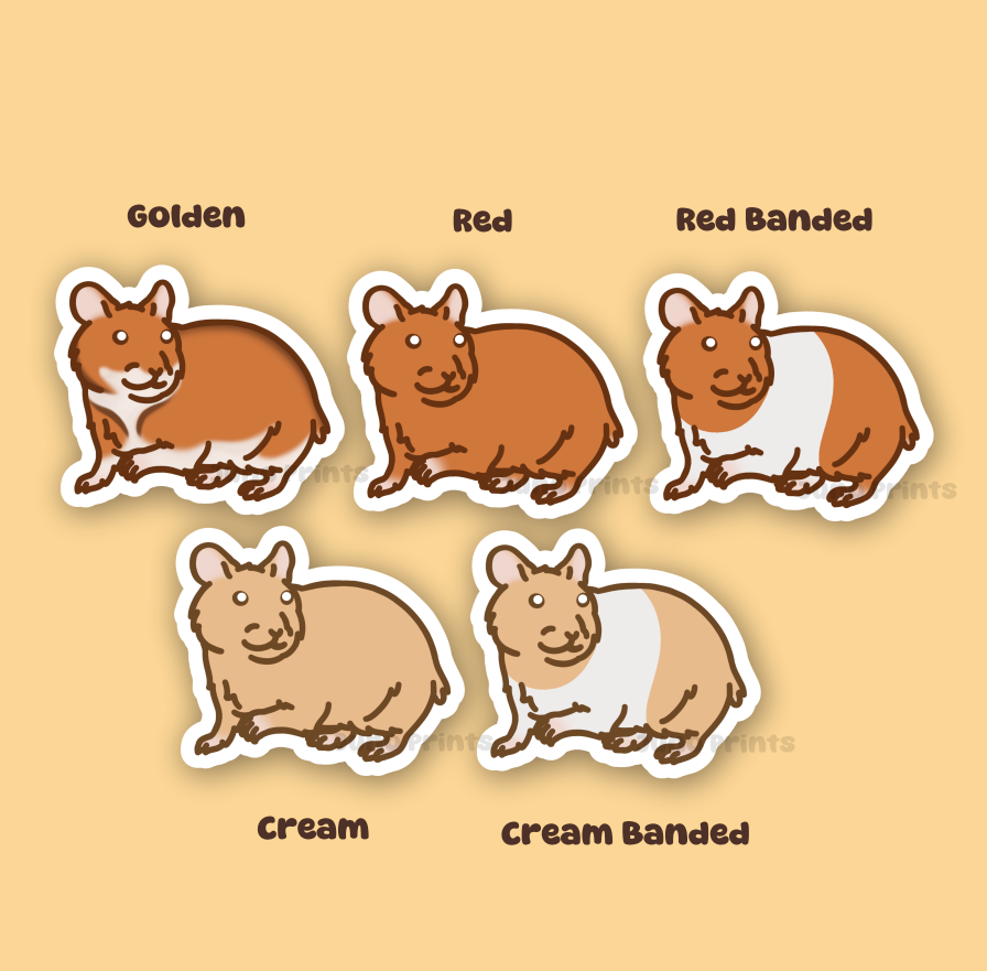 Syrian Hamster Sticker - 3" Rodent Sticker or 2" Keychain