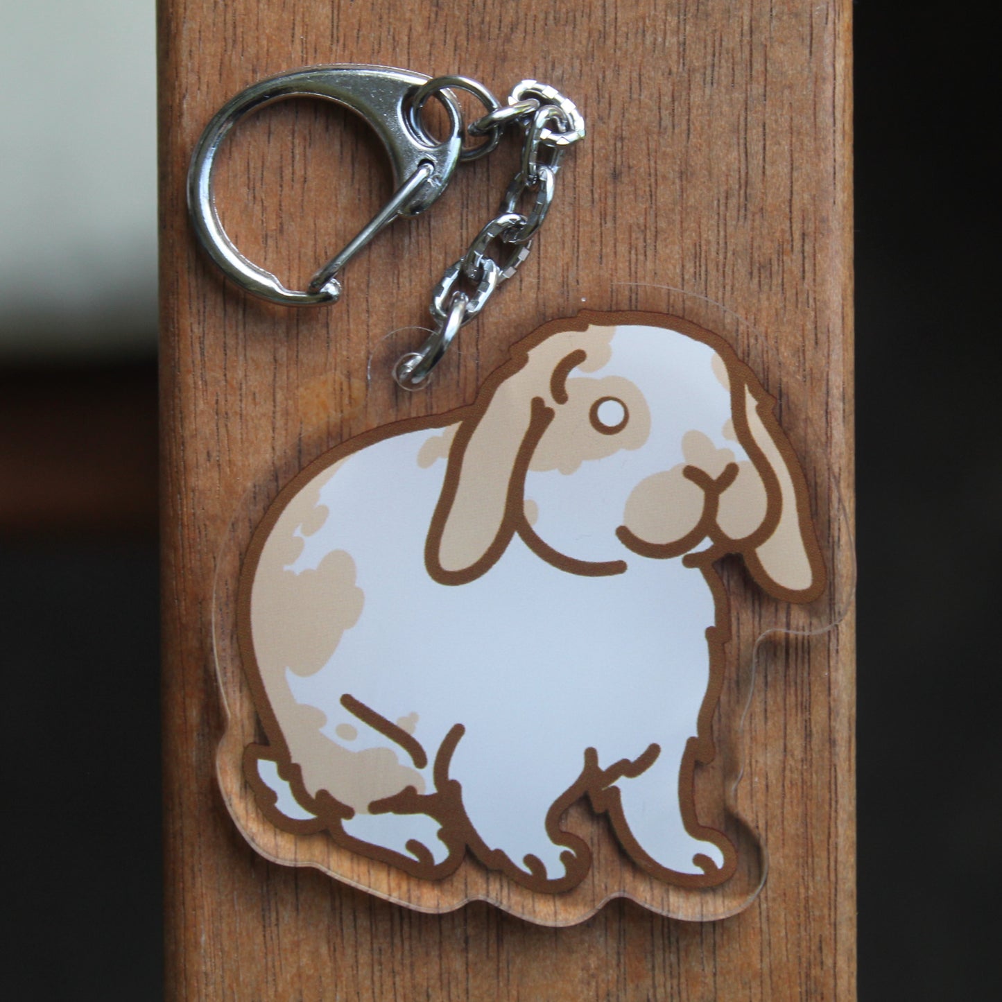 Holland Lop Sticker - 3" Holland or Other Lop Variety Rabbit Sticker or 2" Keychain