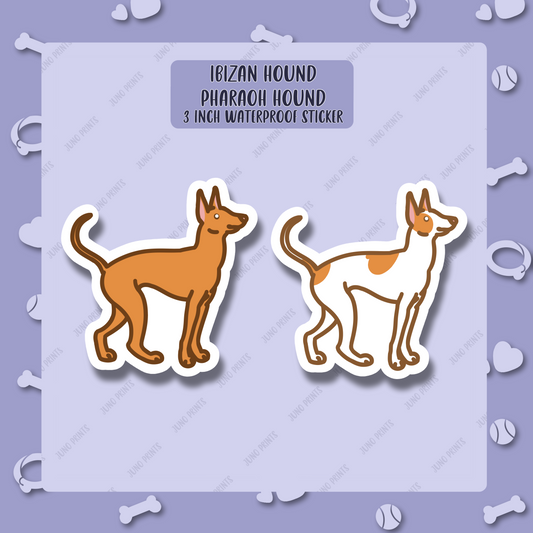 Ibizan Hound - Pharaoh Hound Sticker - 3" Waterproof UV Resistant Ancient Sight Hound Dog Sticker