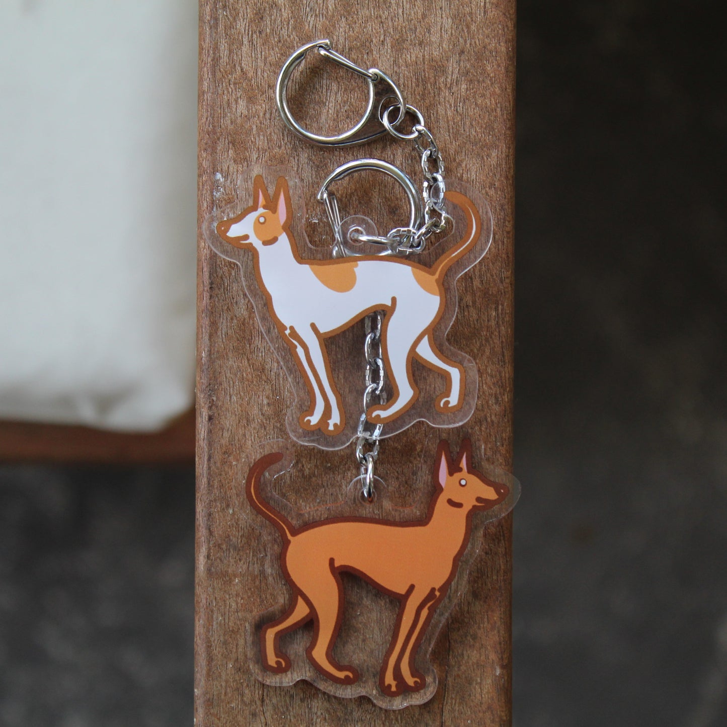 Ibizan Hound, Pharaoh Hound Sticker - 3" Dog Sticker or 2" Keychain