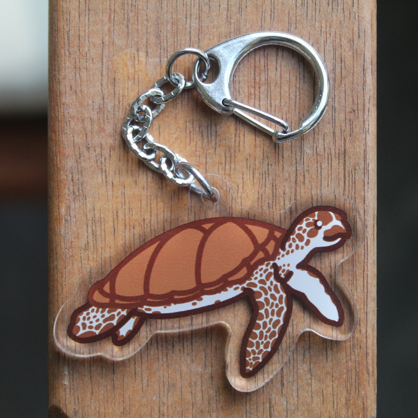 Loggerhead Turtle Sticker - 3" Marine Turtle Sticker or 2" Keychain