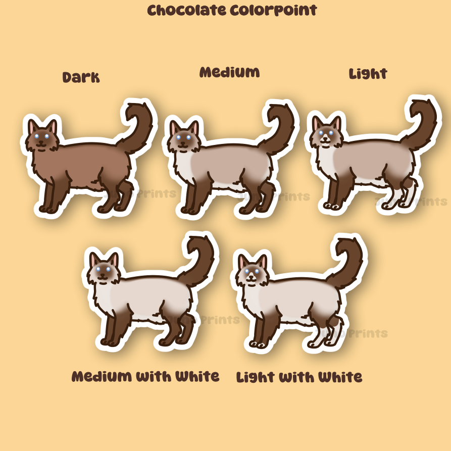 Colorpoint Siamese Longhair Cats - 3" Tonkinese, Burmese Sticker