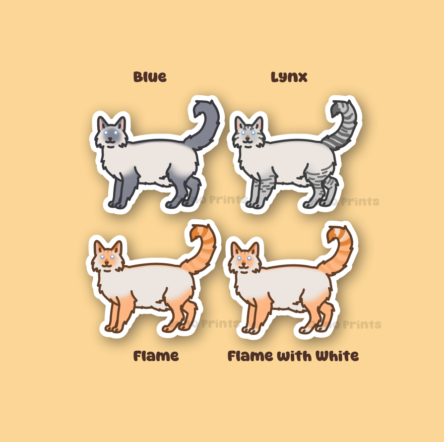 Colorpoint Siamese Longhair Cats - 3" Tonkinese, Burmese Sticker