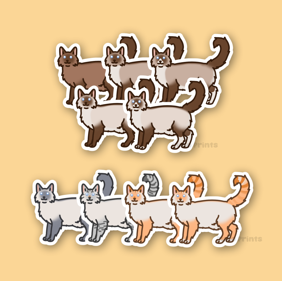 Colorpoint Siamese Longhair Cats - 3" Tonkinese, Burmese Sticker