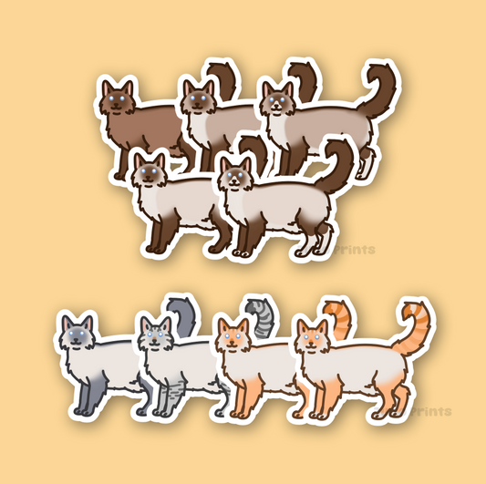 Colorpoint Siamese Longhair Cats - 3" Tonkinese, Burmese Sticker