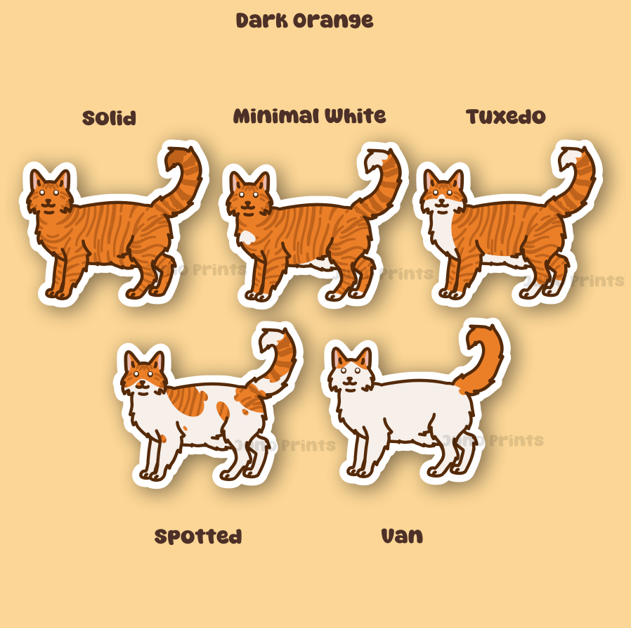 Orange Longhair Cat - 3" Dark, Medium, Light Orange