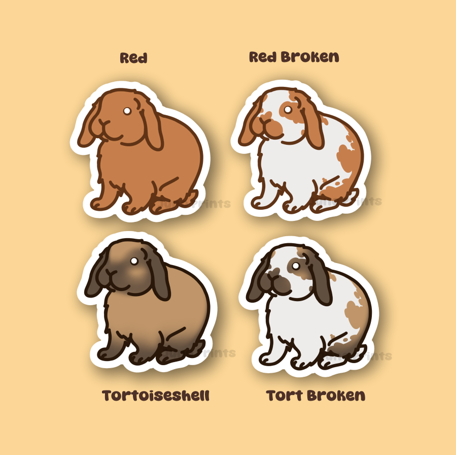 Holland Lop Sticker - 3" Holland or Other Lop Variety Rabbit Sticker or 2" Keychain