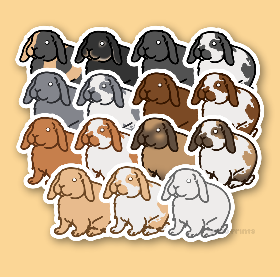 Holland Lop Sticker - 3" Holland or Other Lop Variety Rabbit Sticker or 2" Keychain