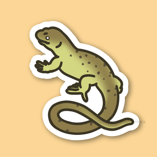 Monkey-Tailed Skink - 3" Prehensile-Tail, Giant, Zebra Skink Sticker