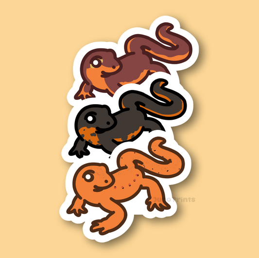 Newts! - 3" Eastern Spotted Red Eft, Fire Belly, or California Newt Salamander Sticker