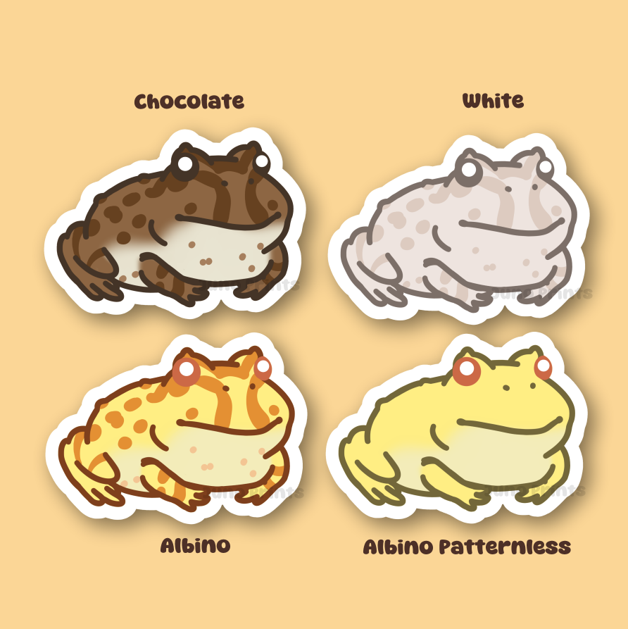 Pacman Frog - South American Horned Frog/Toad 3" Sticker