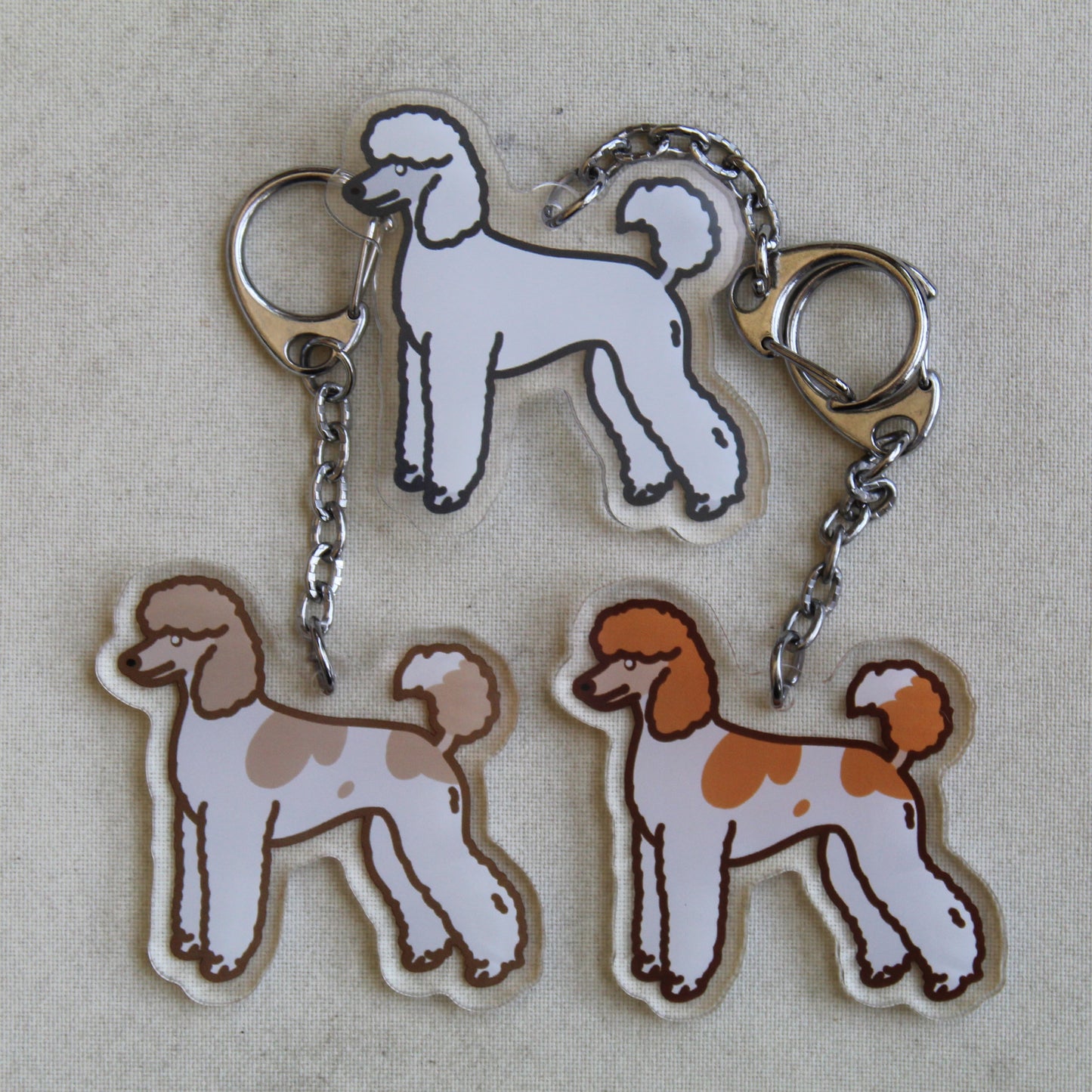 Standard Poodle - 3" Dog Sticker or 2" Keychain Non-Sporting