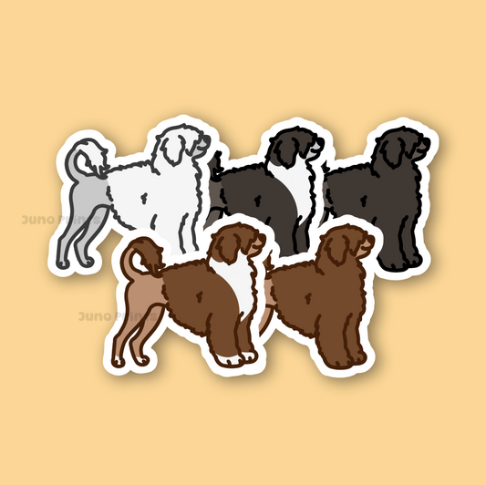 Portuguese Water Dog, PWD, Porty - 3" Waterproof Sticker Working