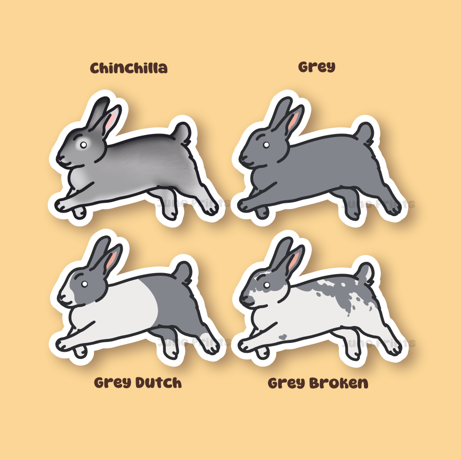 Rabbit - 3" Waterproof, UV-Resistant Sticker or 2" Acrylic Keychain - American, Dutch, Cinnamon, Sable, Rex, Californian/Himalayan Bunny