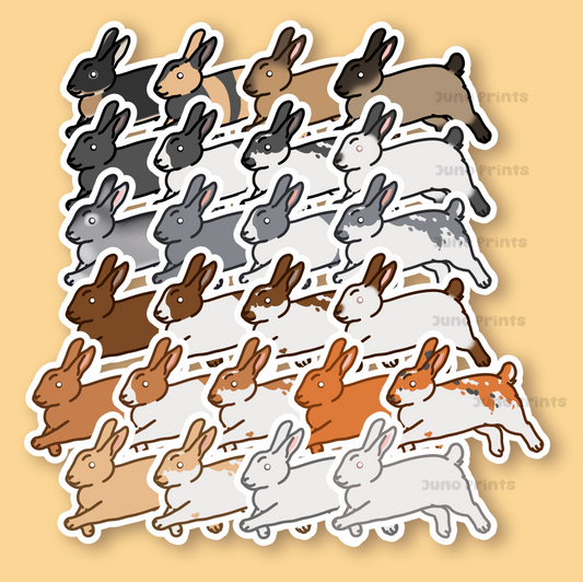 Rabbit - 3" Waterproof, UV-Resistant Sticker or 2" Acrylic Keychain - American, Dutch, Cinnamon, Sable, Rex, Californian/Himalayan Bunny