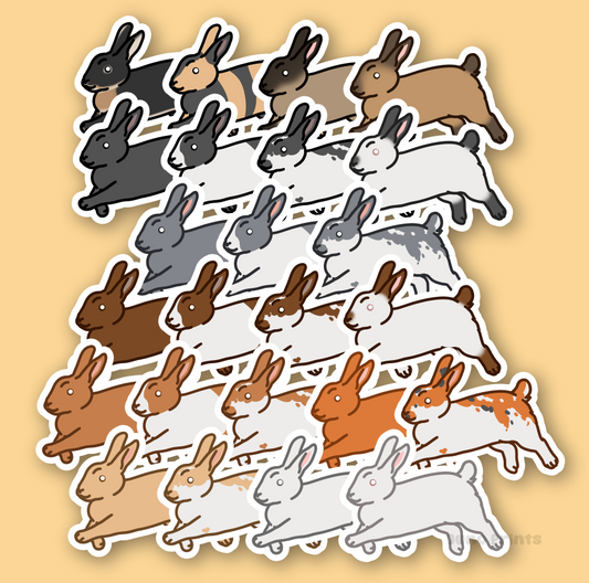 Rabbit Sticker - 3" American, Dutch, Cinnamon, Sable, Rex, and/or Californian/Himalayan or 2" Keychain