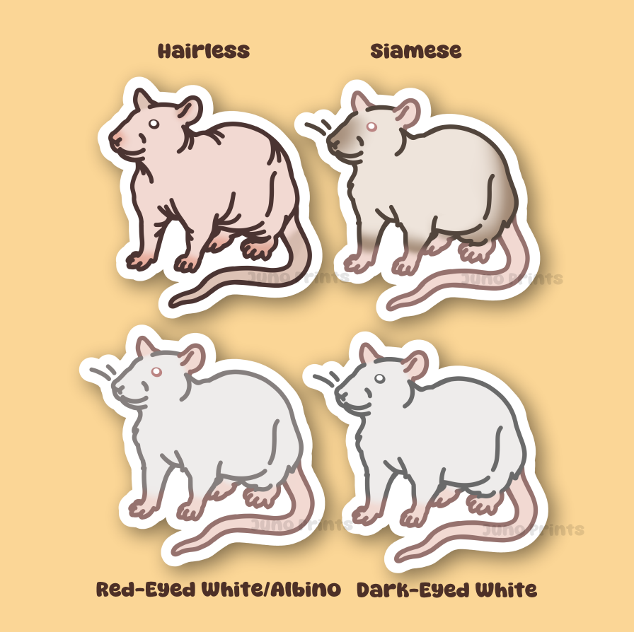 Rat Sticker - 3" Rodent Sticker or 2" Keychain