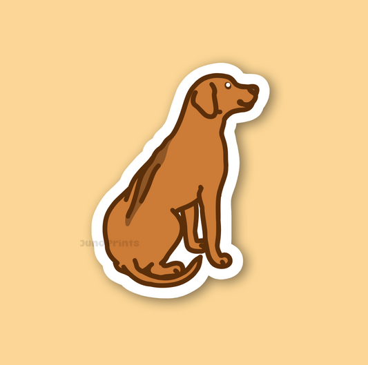 Rhodesian Ridgeback African Lion Hound Dog Sticker - 3" Waterproof Sticker or 2" Keychain Hound