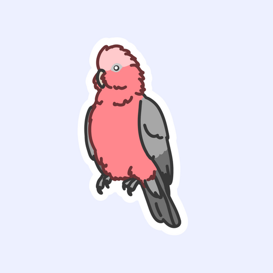 Galah Parrot Sticker - 3" Rose Breasted Cockatoo Sticker