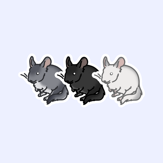 Chinchilla Sticker - 3" Rodent Sticker