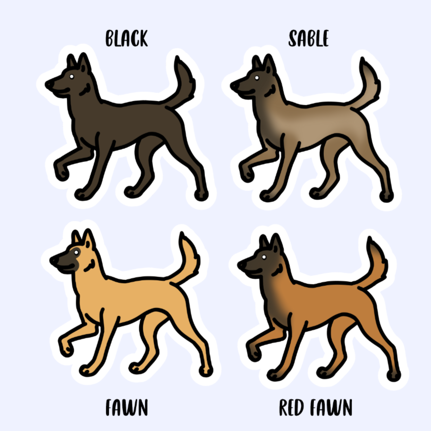 Belgian Malinois Dutch Shepherd Dog Sticker - 3" Waterproof Sticker