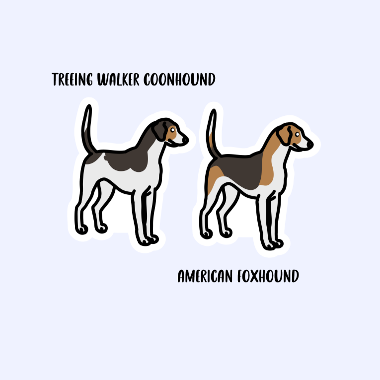 American Foxhound or Treeing Walker Coonhound Sticker - 3" Waterproof Sticker