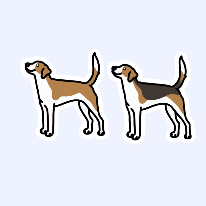 English Foxhound Harrier Dog Sticker - 3" Waterproof Sticker