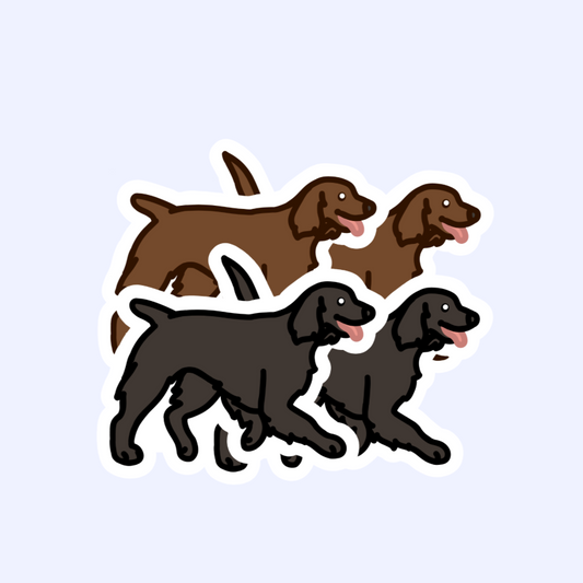 Boykin American Water Spaniel Field Spaniel Sticker - 3" Waterproof Sticker