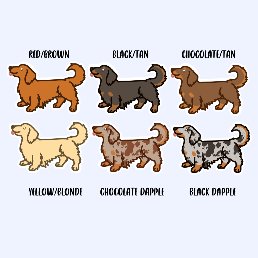 Longhair Wiener Dog Dachshund Sticker - 3" Waterproof Sticker